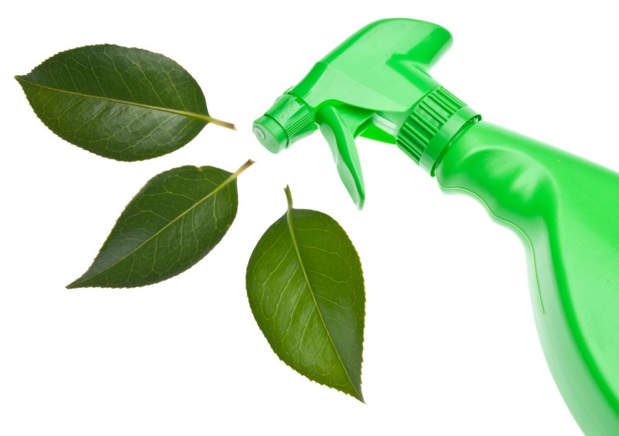 Green Cleaning Techniques